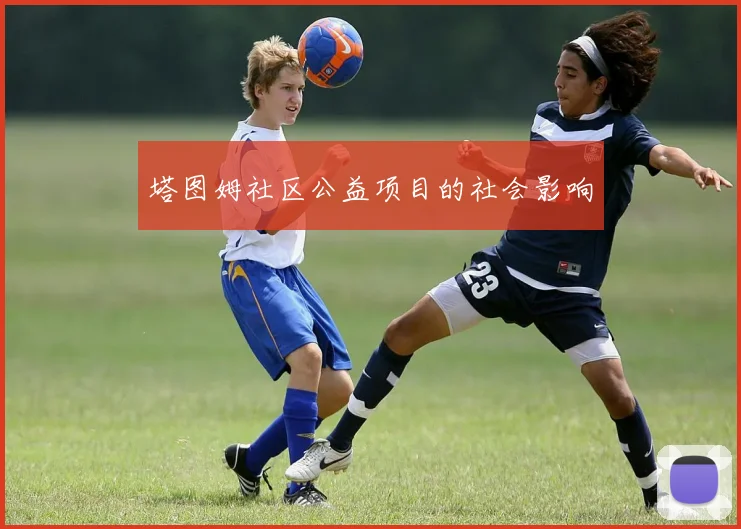 塔图姆社区公益项目的社会影响