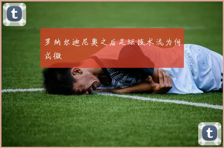 罗纳尔迪尼奥之后足坛技术流为何式微
